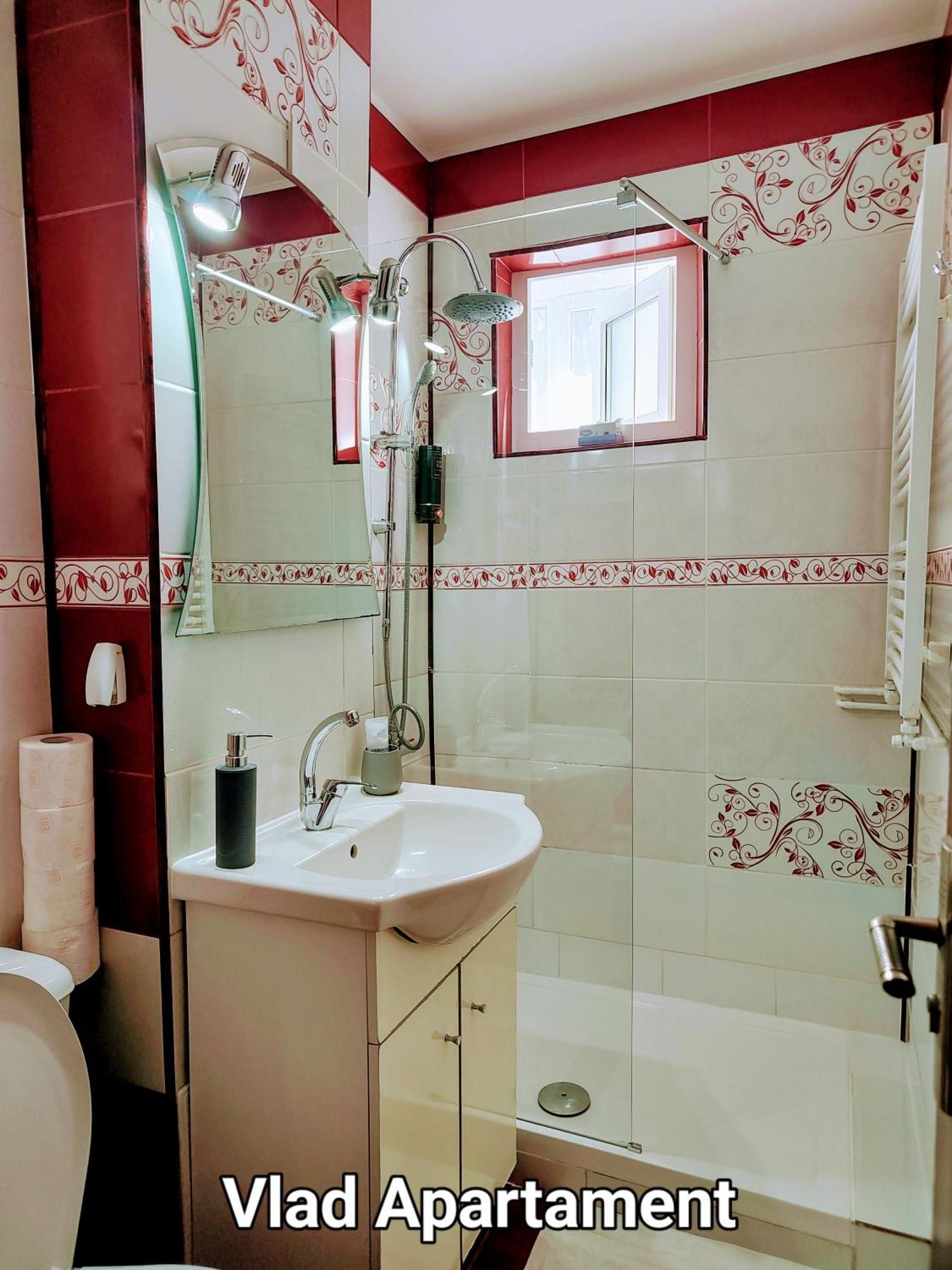 Vlad Apartament Brasov Bagian luar foto